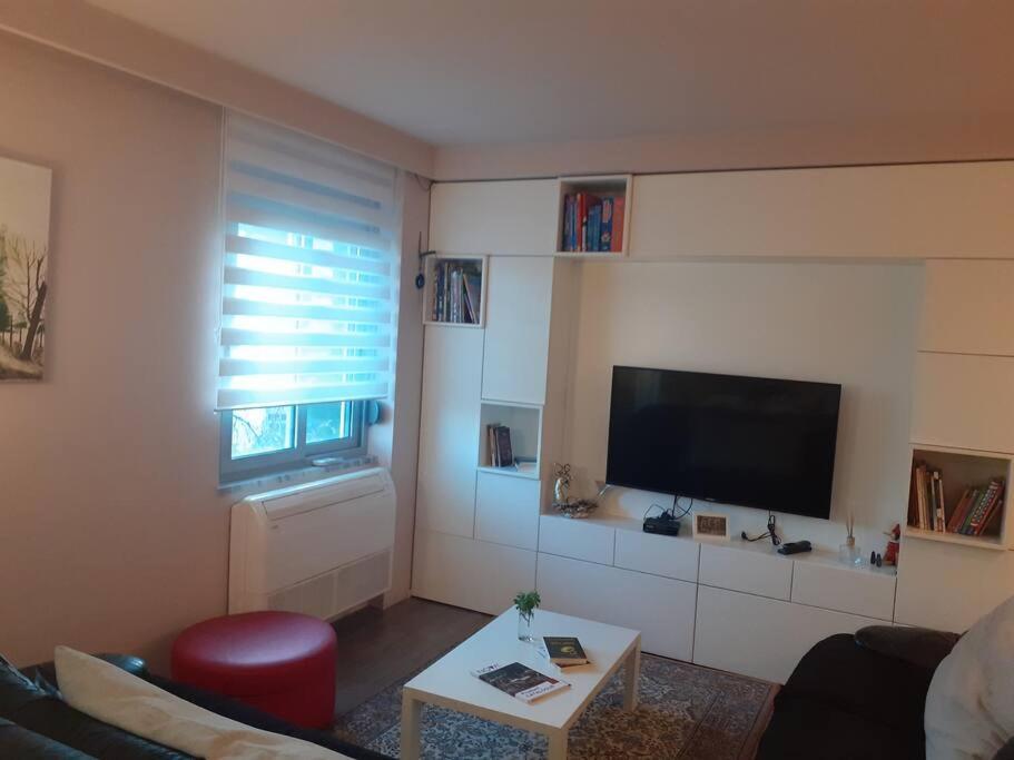 Lake View Apartment ティラナ エクステリア 写真