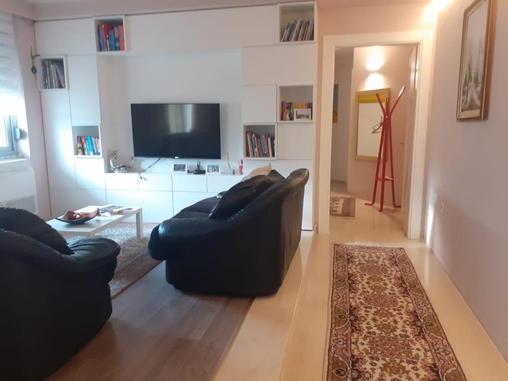 Lake View Apartment ティラナ エクステリア 写真
